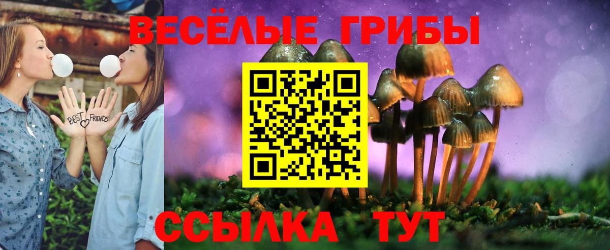 Галлюциногенные грибы Cubensis  Псилоцибиновые грибы GOLDEN TEACHER  наркотики  Вход с VPN  Иркутск 